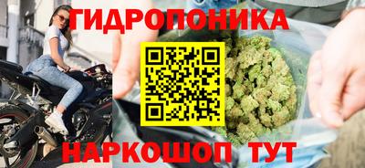 ECSTASY Краснодар