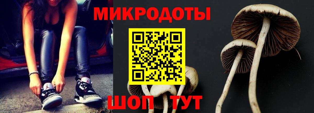 Псилоцибиновые грибы мухоморы Екатеринбург